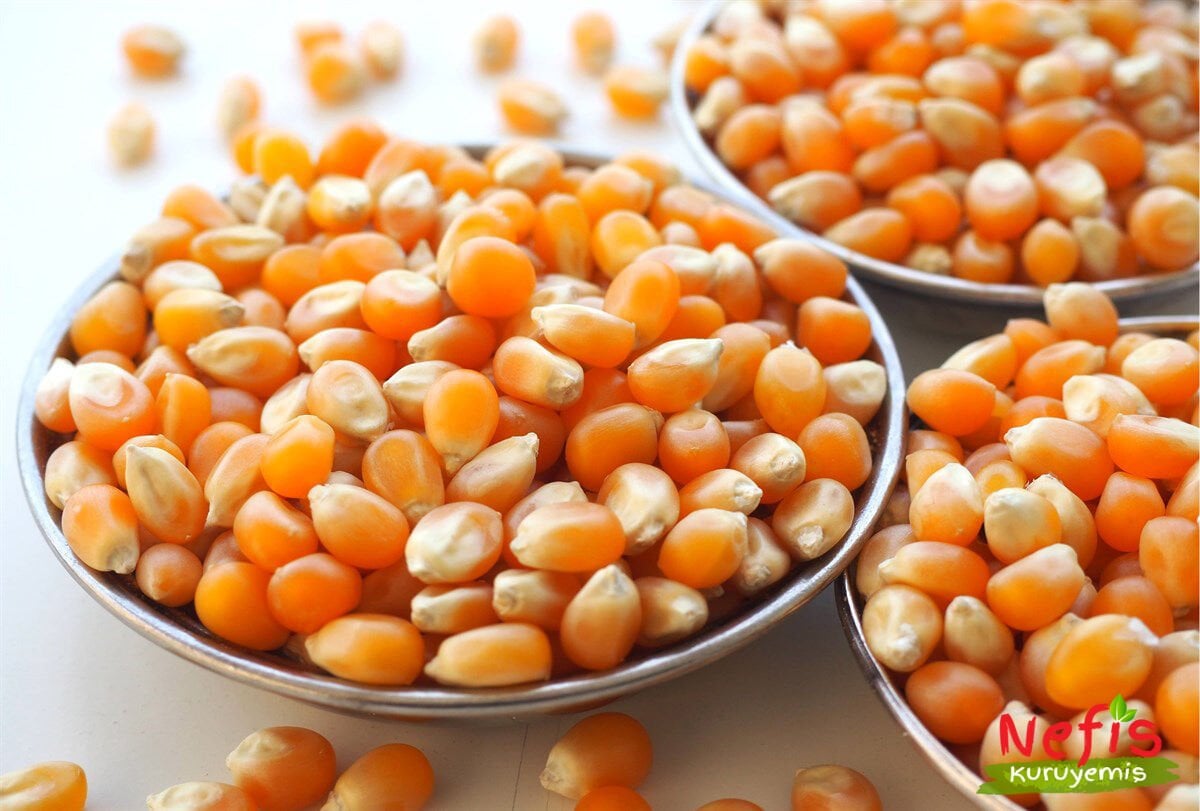 Popcorn (Patlak Mısır)