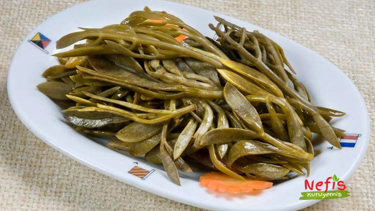 rock grove pickle (kaya korusu turşusu)